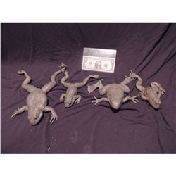 MAGNOLIA COMPLETE SET OF UNPAINTED STUNT TREE BULL FROG & BOTH TOADS SCREEN USED