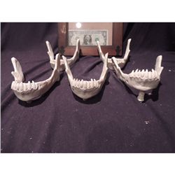 CHUPACABRA SKELETON LOWER JAWS WITH FANGS LOT OF 5 NO RESERVE!