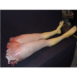 TORN IN HALF FEMALE LOWER BODY WITH LEGS & EXCELLENT GORE WITH SPINE SILICONE ANATOMICALLY CORRECT