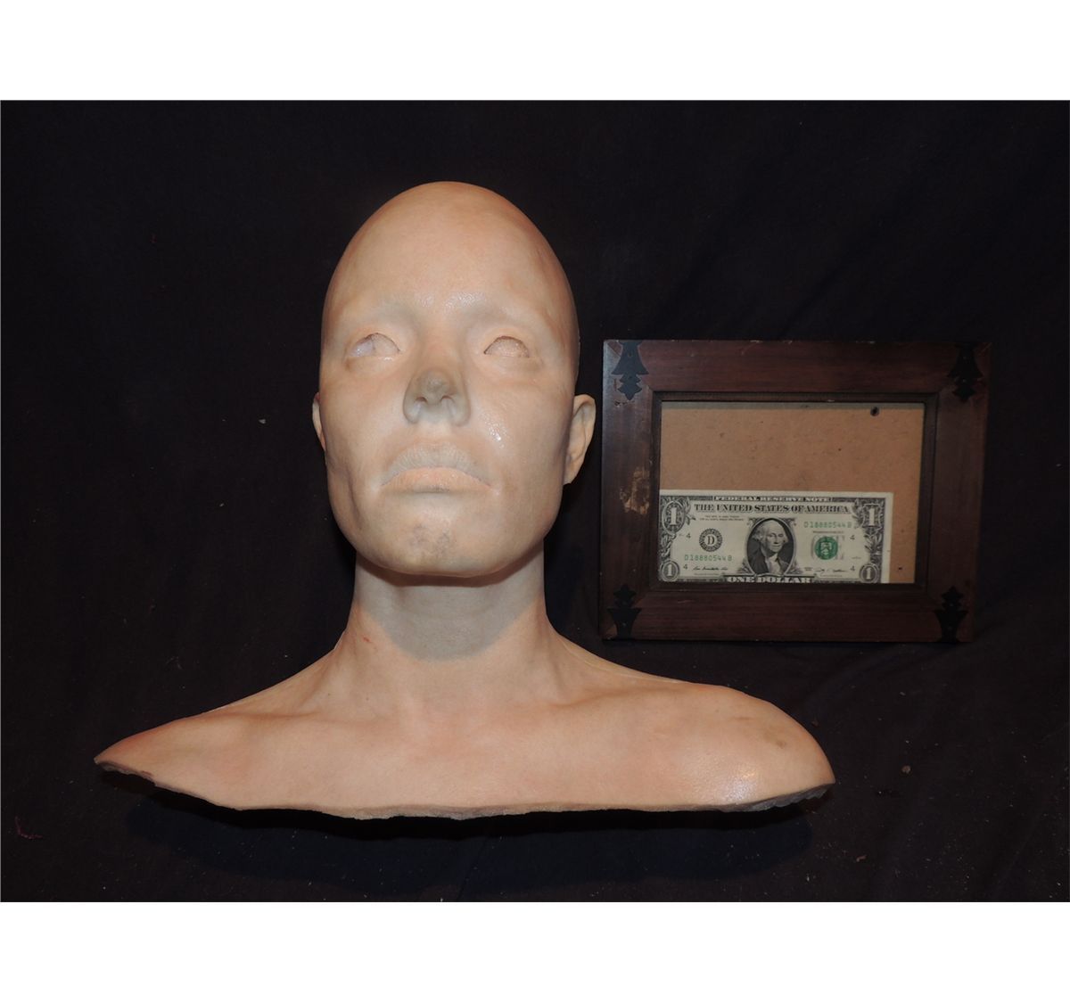 SEVERED COMPLETE HEAD WITH GORE 14 URETHANE LATEX OR POLY FOAM