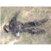 Image 4 : INBRED WEREWOLF CREATURE COMPLETE WEARABLE FULL BODY SUIT HEAD HANDS & FEET