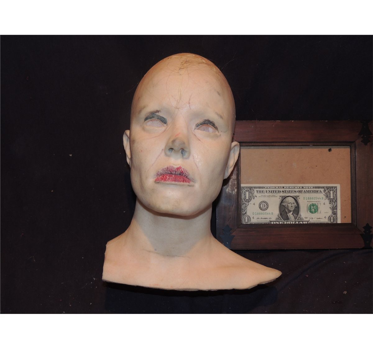 SEVERED COMPLETE HEAD WITH GORE 16 URETHANE LATEX OR POLY FOAM