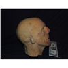 Image 2 : ROTTEN ZOMBIE MUMMY SEVERED HEAD FROM UNKNOWN PRODUCTION