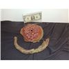 Image 2 : SLITHER HERO SILICONE CHEST OF THE GRANT MONSTER TENTACLES EMERGE FROM WITH TENTACLE SCREEN USED
