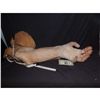 Image 2 : MASTERS OF HORROR. HUGE MONSTER OGRE ARM SCREEN USED