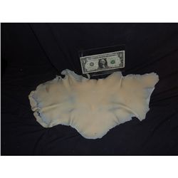TRUE BLOOD VAMPIRE BITE SILICONE KNECK THROAT APPLIANCE 3 NO RESERVE!