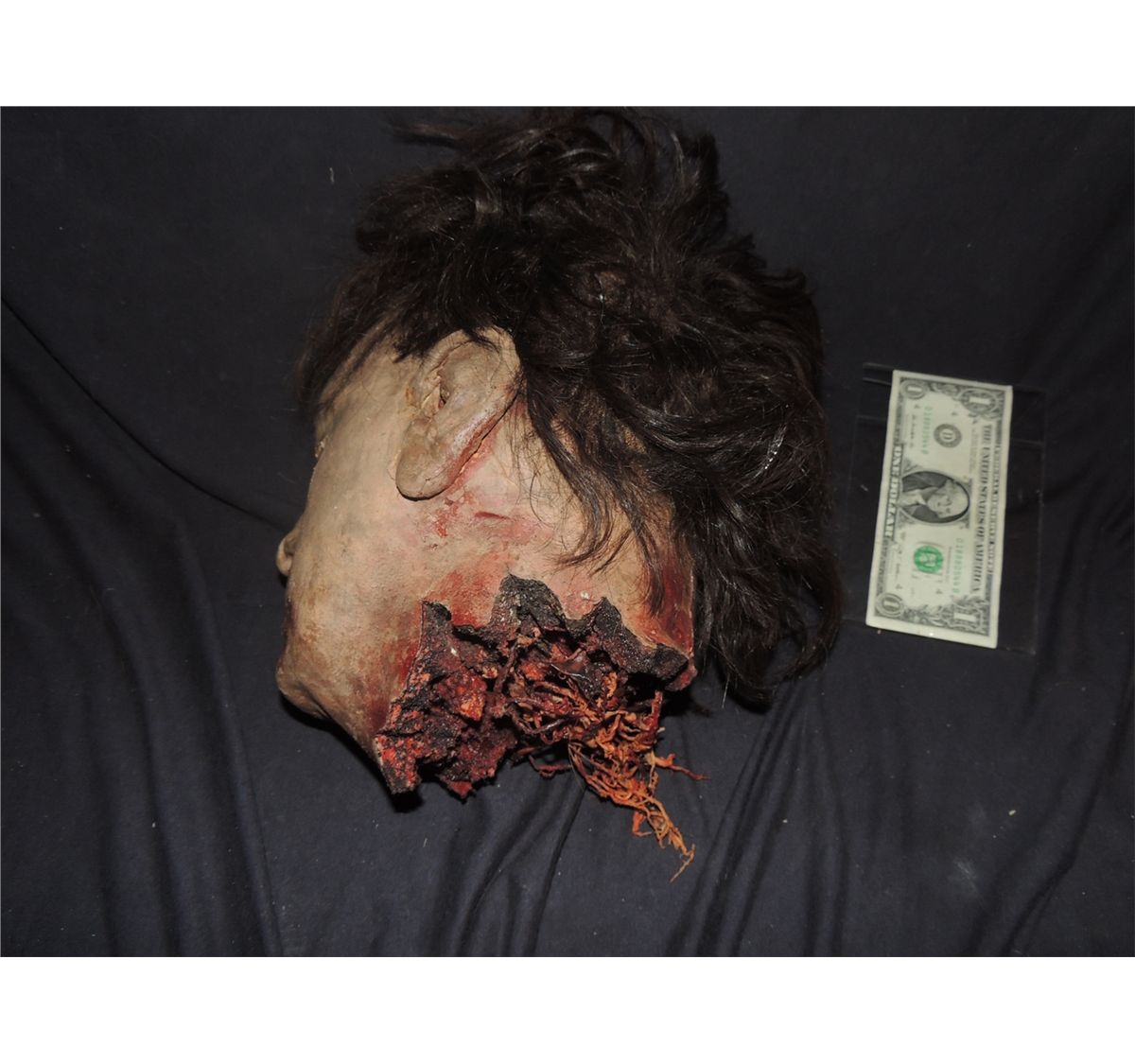 Bloody Torn Off Severed Head With Gore Bloody Torn Off Severed Head With Gore
