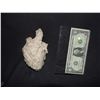 Image 1 : PIRATES OF THE CARIBBEAN DEAD MAN'S CHEST BACK UP HERO HEART OF DAVEY JONES FROM THE FLYING DUTCHMAN