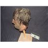 Image 2 : PIRATES OF THE CARIBBEAN ON STRANGER TIDES SCREEN USED SEVERED HEAD SEEN ON WOODEN SPIKE 1