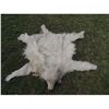 Image 1 : INDIAN WOLF SKIN CEREMONIAL THROW RUG OR HEADDRESS 1 WEARABLE FULL FAUX PELT WITH HEAD HAT