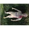 Image 1 : COMPLETE FULL SCULPT MALE BODY MADE OF SOFT POLY FOAM
