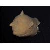Image 2 : UNPAINTED LATEX DEMON HEAD OR MASK NO RESERVE!