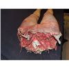 Image 2 : TORN IN HALF FEMALE LOWER BODY WITH LEGS & EXCELLENT GORE WITH SPINE SILICONE ANATOMICALLY CORRECT