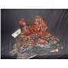 Image 1 : TRUE BLOOD SCREEN USED SUN BURNT VAMPIRE SKIN WITH SILVER CHAINS 2 THE KEEPER!