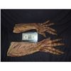 Image 1 : MATCHED PAIR OF ALIEN DEMON CREATURE MONSTER OR ZOMBIE ARMS WITH HANDS NICE AND SUPPLE!