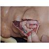 Image 2 : OFF THE MAP SURGERY SILICONE ON FOAM BODY TORSO WITH FULL ENTRAILS INSIDE SCREEN USED!