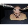 Image 1 : SPECIES 3 SIL VICTIM SILICONE HEAD AND BUST TENTACLES PENETRATE ALL HAND PUNCHED HAIRS!