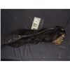 Image 1 : PIRATES OF THE CARIBBEAN DEAD MAN'S CHEST SCREEN USED SHRUNKEN HEAD 2 FROM CANNIBAL ISLAND