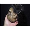 Image 3 : PIRATES OF THE CARIBBEAN DEAD MAN'S CHEST SCREEN USED SHRUNKEN HEAD 2 FROM CANNIBAL ISLAND