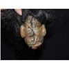 Image 4 : PIRATES OF THE CARIBBEAN DEAD MAN'S CHEST SCREEN USED SHRUNKEN HEAD 2 FROM CANNIBAL ISLAND