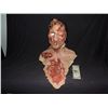 Image 1 : CABIN IN THE WOODS HERO BUCKNER ZOMBIE FULL HEAD MASK WITH ACRYLIC TEETH AND REAL HAIR