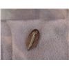 Image 2 : STAR TREK DEEP SPACE NINE SCREEN USED HERO BRASS COMMUNICATOR PIN