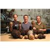 Image 2 : CRITTERS 2 ALIEN CRITTER BALL ORIGINAL URETHANE FACE CASTING FROM PRODUCTION