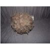 Image 1 : CRITTERS 2 SCREEN USED HERO ADULT HARD CRITE BALL WITH SNAPS