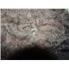 Image 2 : CRITTERS 2 SCREEN USED HERO ADULT HARD CRITE BALL WITH SNAPS