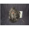 Image 2 : CRITTERS 3 SCREEN USED & MATCHED BISECTED CRITE WITH BLOODY INERDS