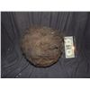 Image 1 : CRITTERS 3 & 4 SCREEN USED HERO ADULT HARD SPINNING CRITE BALL