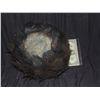Image 1 : CRITTERS 3 & 4 SCREEN USED & MATCHED HERO ADULT HARD SCALPED BALD CRITE BALL