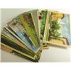Image 1 : VINTAGE LOT OF 28 COLORIZED POSTCARDS FROM THE TEXAS, CIRCA 1950'S
