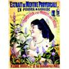 Image 1 : Extrait de Menthe Provençale en Poudre & Liquide Paris "Supérieur à tout produit à base d'alcool...