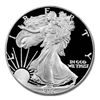 Image 1 : Proof Silver Eagle 1986-S