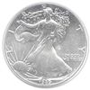 Uncirculated Silver Eagle 1989