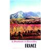 Image 2 : Lot de 5 Affiches de Régionalisme Versailles - Le parc en automne / Paris Saint-Germain / Le prin...