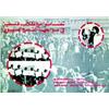 Image 1 : Solidarity with Palestinian students against Zionist oppression Aff. N.E. T.B.E. A - 230/380 € "4...