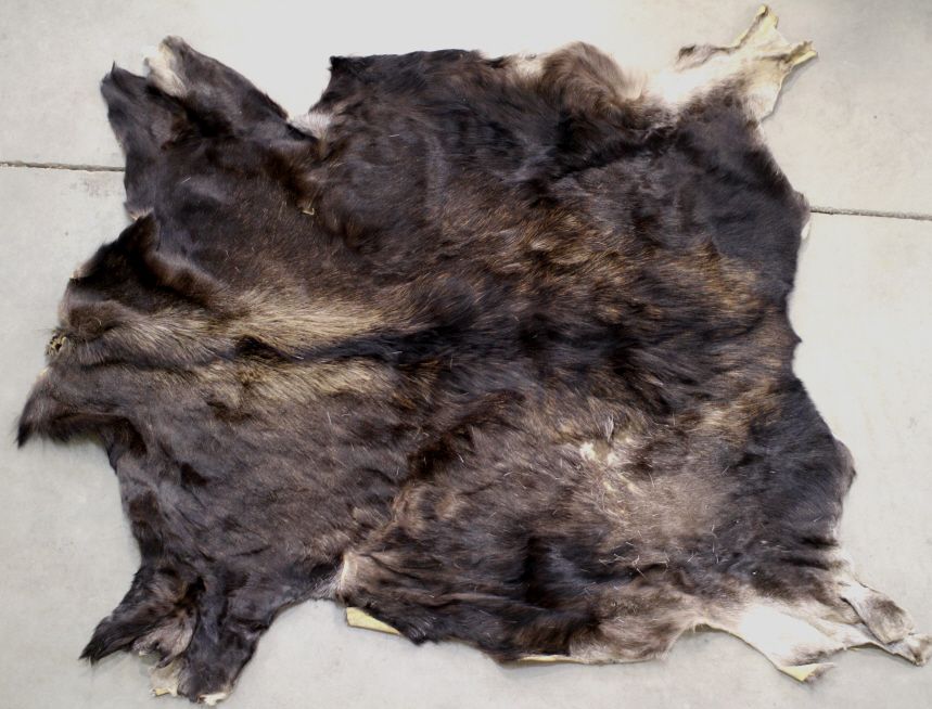 Moose Hide
