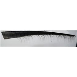 Whale Baleen 10ft