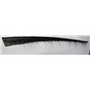 Image 1 : Whale Baleen 10ft