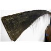 Image 2 : Whale Baleen 10ft