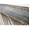 Image 3 : Whale Baleen 10ft