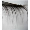 Image 4 : Whale Baleen 10ft