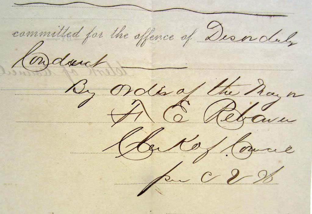 Disorderly conduct essay 07 picture