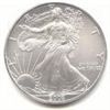 Image 1 : Uncirculated Silver Eagle 2005