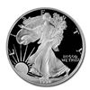 Image 1 : Proof Silver Eagle 1992-S