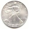 Image 1 : Uncirculated Silver Eagle 2004