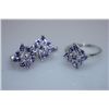 Image 1 : 34.02 CTW TANZANITE SET .925 STERLING SILVER