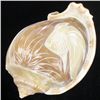 Image 1 : Handcarved Gastropod Shell (SHL-000154)